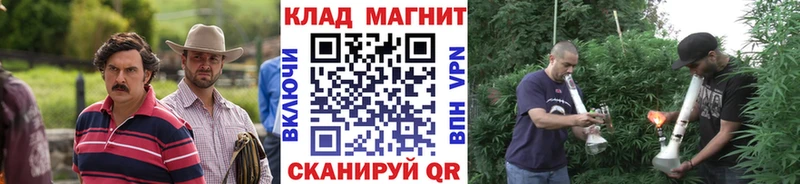 Хочу наркоту Барыш Псилоцибиновые грибы  Меф  ГАШ  Бошки Шишки  COCAIN  Альфа ПВП 