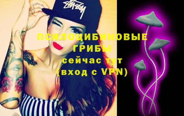 МДПВ Армянск